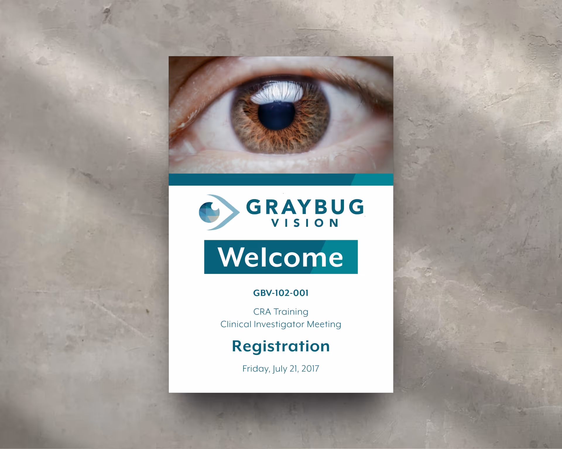 Graybug Vision Poster Design — Print Design